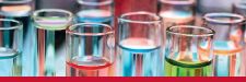 NATURE: Stem cells of the eye