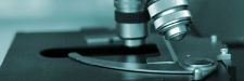 Léčba toxického poškození zrakového nervu kombinací kmenových buněk z Whartonova (pupečníkového) rosolu a elektromagnetické stimulace