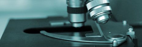 Léčba toxického poškození zrakového nervu kombinací kmenových buněk z Whartonova (pupečníkového) rosolu a elektromagnetické stimulace